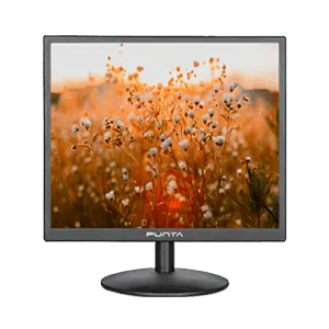 PUNTA LED MONITOR EVALIA P18 HDMI